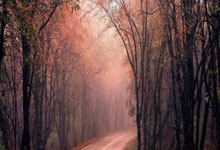 征途国际官网：[CBA]2025首场京辽大战开赛在即.