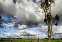 [CBA]常规赛4月6日：辽宁VS东阳光药.